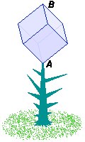 Cube Plant